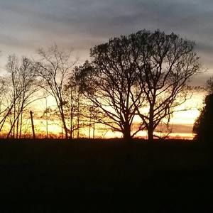 Meet your Posher, Kasey